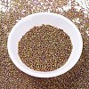 MIYUKI Delica Beads X-SEED-J020-DB0507-2