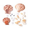 DIY Ocean Themed Pattern Shell Conch Disk Paste Painting For Kids DIY-P035-07-3