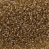 MIYUKI Delica Beads SEED-X0054-DB0181-3