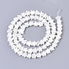 Natural Trochid Shell/Trochus Shell Bead Strands X-SSHEL-N034-68A-2