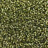 MIYUKI Delica Beads SEED-X0054-DB2522-3