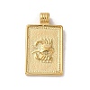 304 Stainless Steel Pendants STAS-L022-306G-04-1