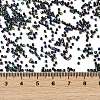 Electroplate Glass Seed Beads SEED-H003-10M-4