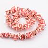 Natural Shell Bead Strands BSHE-P010-03-2