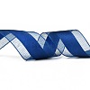 Solid Color Organza Ribbons ORIB-E005-B15-3
