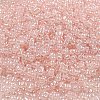 Ceylon Glass Seed Beads SEED-K009-02B-29-3
