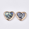 Abalone Shell/Paua Shell Beads G-N0323-001-2