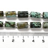 Natural African Turquoise(Jasper) Beads Strands G-N327-06-29-5