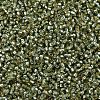 MIYUKI Delica Beads SEED-J020-DB2163-3