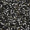 Glass Seed Beads X-SEED-S042-04B-31-3