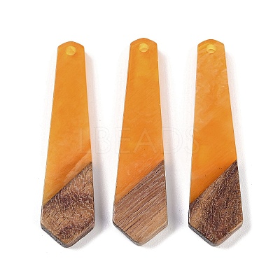 Resin & Wood Pendants WOOD-F015-05E-1