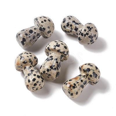 Natural Dalmatian Jasper GuaSha Stone G-A205-25E-1