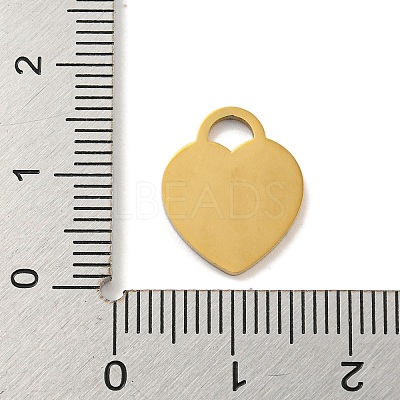 Ion Plating(IP) 304 Stainless Steel Pendants FIND-M017-01G-C-1