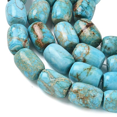 Natural Magnesite Beads Strands GG-CBA6BAC-E06-1