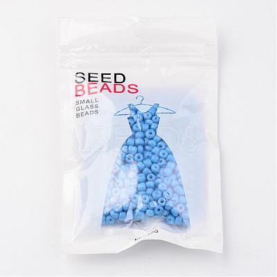 6/0 Baking Paint Glass Seed Beads X-SEED-S003-K17-1