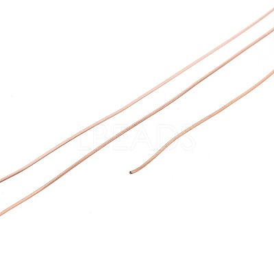 10M 304 Stainless Steel Wire TWIR-N005-0.3mm-RG-1