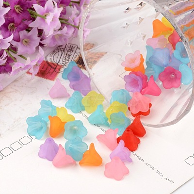 Mixed Color Frosted Acrylic Beads X-PL692-1