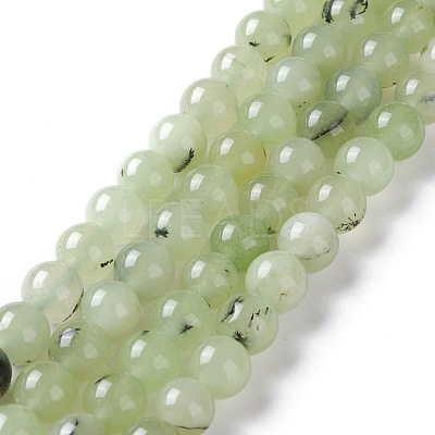 Natural White Jade Imitation Prehnite Beads Strands G-I299-F12-8mm-1