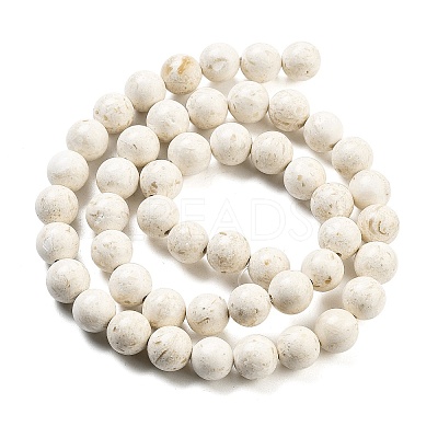 Natural Fossil Beads Strands G-H026-02A-1