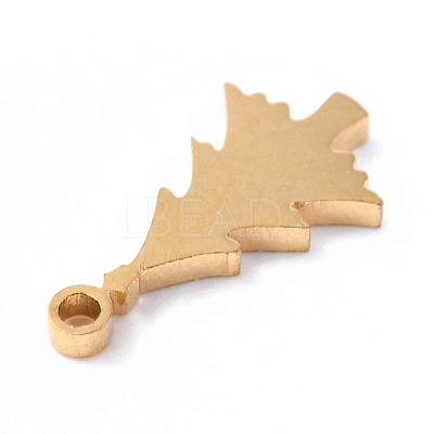 Christmas 304 Stainless Steel Charms STAS-O142-59G-1