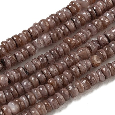 Dyed Natural Freshwater Shell Beads Strands BSHE-G039-07I-1