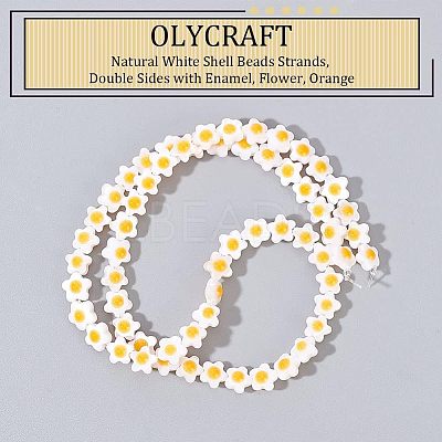 Natural White Shell Beads Strands SHEL-OC0001-02-1