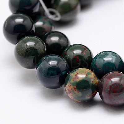 Natural Indian Bloodstone Beads Strands G-P257-07-8mm-1