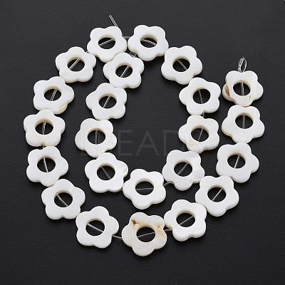 Freshwater Shell Beads Frames Strands LS-SHEL-T009-14A-1