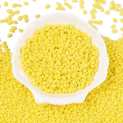 Baking Paint Glass Seed Beads SEED-T006-03C-1