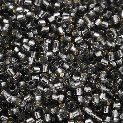 Glass Seed Beads X-SEED-S042-04B-31-1