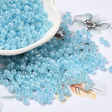 Glass Seed Beads SEED-H002-H-1303-1