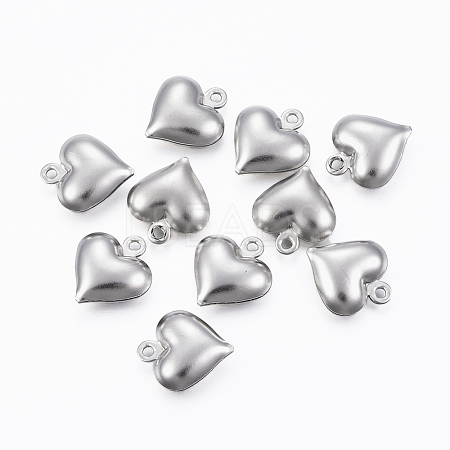 Tarnish Resistant 304 Stainless Steel Charms STAS-H413-16P-1