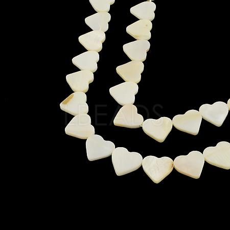 Heart Natural Sea Shell Beads Strands X-SSHEL-F290-06-1