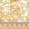 12/0 Glass Seed Beads X-SEED-A005-2mm-22-4