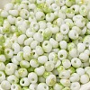 Baking Paint Glass Seed Beads X1-SEED-F006-01A-07-3