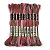 10 Skeins 6-Ply Polyester Embroidery Floss OCOR-K006-A17-1