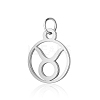 Non-Tarnish 304 Stainless Steel Charms STAS-T036-T513-A2-1