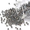 TOHO 6/0 Round Beads X-SEED-TR06-0266-1