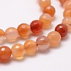 Natural Carnelian Beads Strands G-D840-34-10mm-3