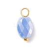 Electroplate Glass Pendants PALLOY-JF01541-04-2