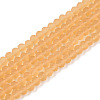 Transparent Glass Beads Strands EGLA-A044-T3mm-MD23-1