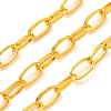 Iron Paperclip Chains CH-R025-10x5mm-G-1