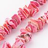 Natural Shell Bead Strands BSHE-P010-10-1