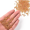 8/0 Round Glass Seed Beads SEED-US0003-3mm-169-4