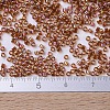MIYUKI Delica Beads SEED-X0054-DB0170-4