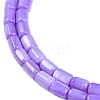 Natural Freshwater Shell Beads Strands BSHE-H109-17C-4