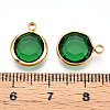K9 Glass Charms X1-GLAA-T023-37A-06-3
