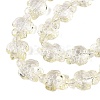 Transparent Glass Beads Strands DGLA-N021-02A-10-3