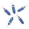 Natural Dalmatian Jasper Double Terminated Pointed Pendants G-F295-04O-3