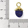 Dyed Natural Lapis Lazuli Pendants STAS-L277-07G-06-3